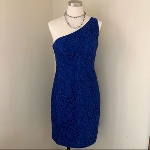 NWT Alexa Dress in Leavers Lace